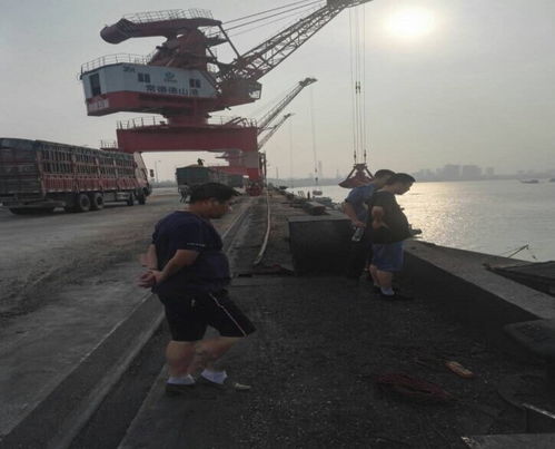 市交通運輸局赴岳陽港、常德港考察學習碼頭建設與管理經驗