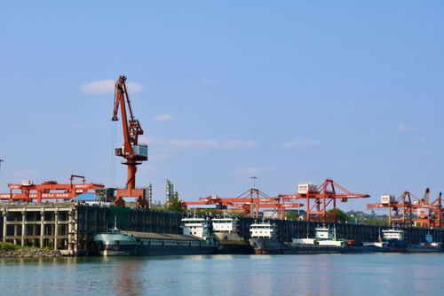 奮戰(zhàn)紅五月，瀘州水運(yùn)吹響發(fā)展進(jìn)軍號(hào) 碼頭建設(shè)與管理并舉，激活長江上游黃金水道