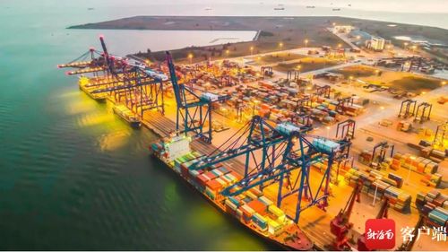 新海南財(cái)經(jīng)觀察丨戰(zhàn)略風(fēng)口疊加政策紅利 中國500強(qiáng)民企爭相布局儋州洋浦碼頭
