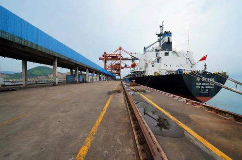 華電可門發(fā)電公司520云端約會(huì) 甜蜜聚焦碼頭建設(shè)與管理新篇章