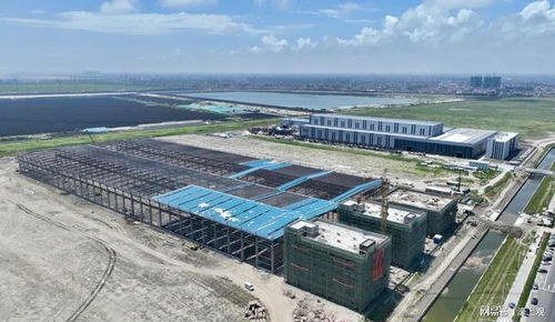 啟東 以滿格狀態(tài)續(xù)寫碼頭建設(shè)與管理的高質(zhì)量發(fā)展新篇章